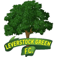 Leverstock-logo